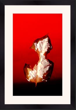 leaf painted with white paint on a red background